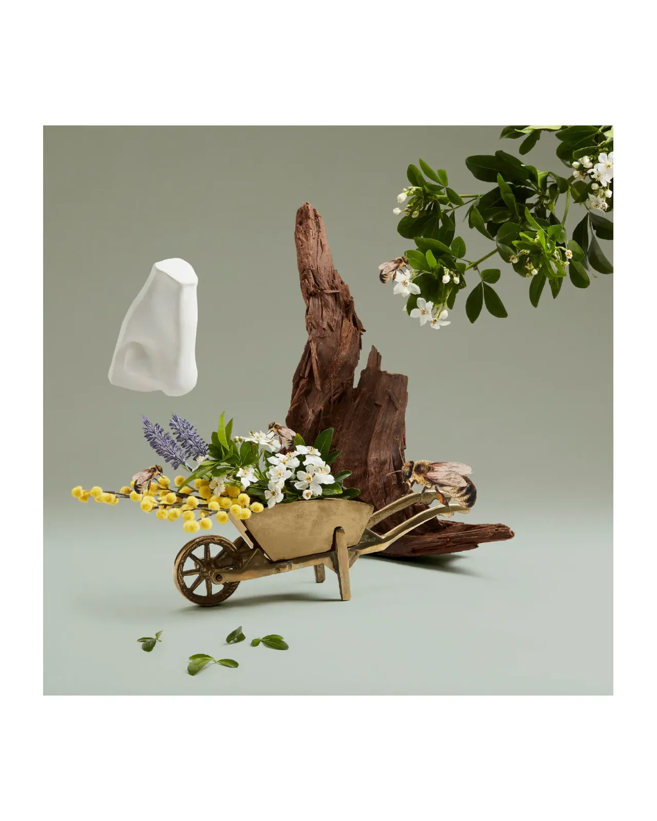 ペンハリガン　ハイグローブブーケ　オードパルファム 100mL 公式】ハイグローヴ ブーケ オードパルファム｜ペンハリガン