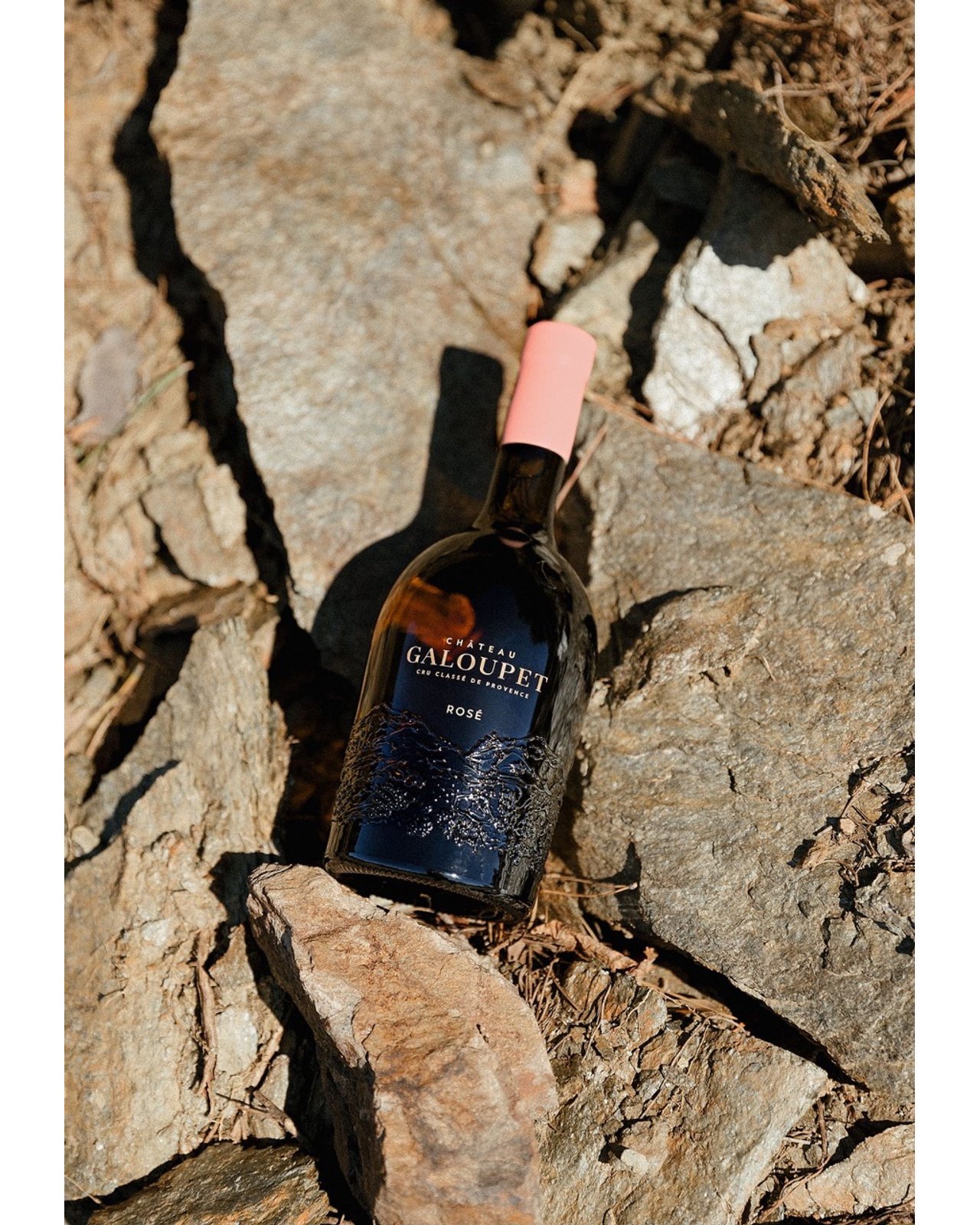 アールグラージュ シーサイドテラス♪ アールグラージュ シーサイドテラス♪ アールグラージュ シーサイド