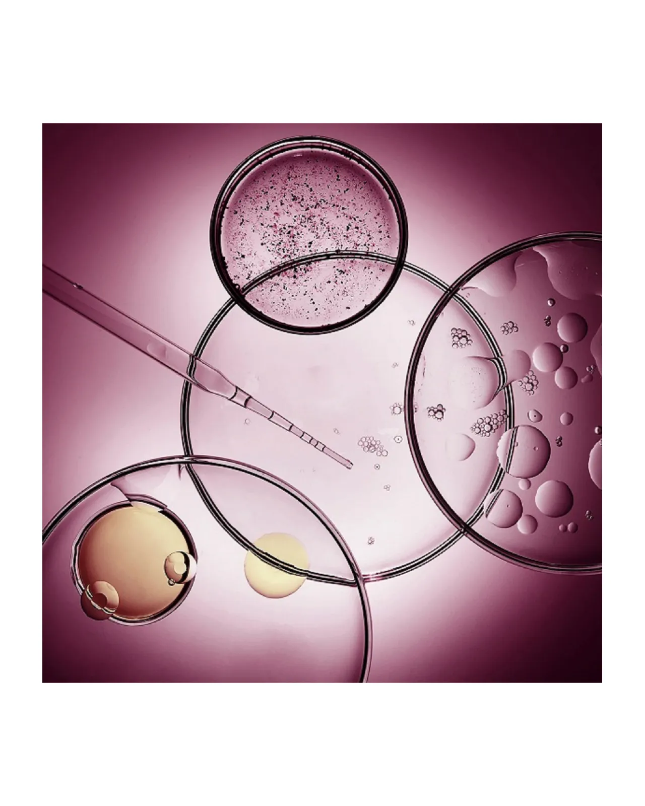 アルガン ビオアクティブ アイクリーム 15mL | Matsuya Ginza