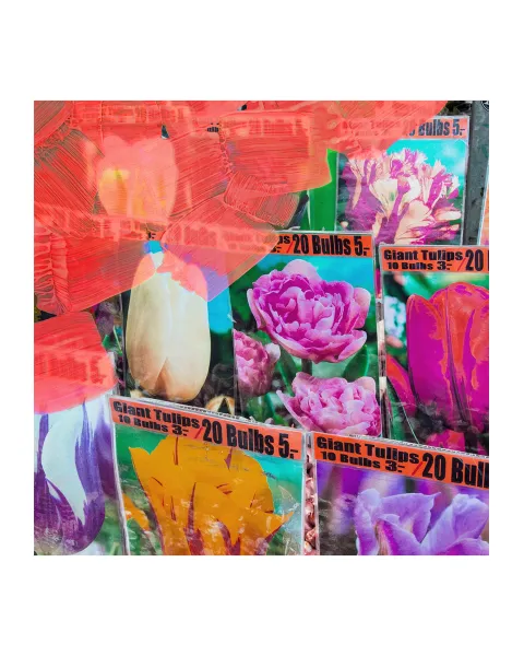 オードパルファン　ラ テュリップ 0400017663752?wid=900