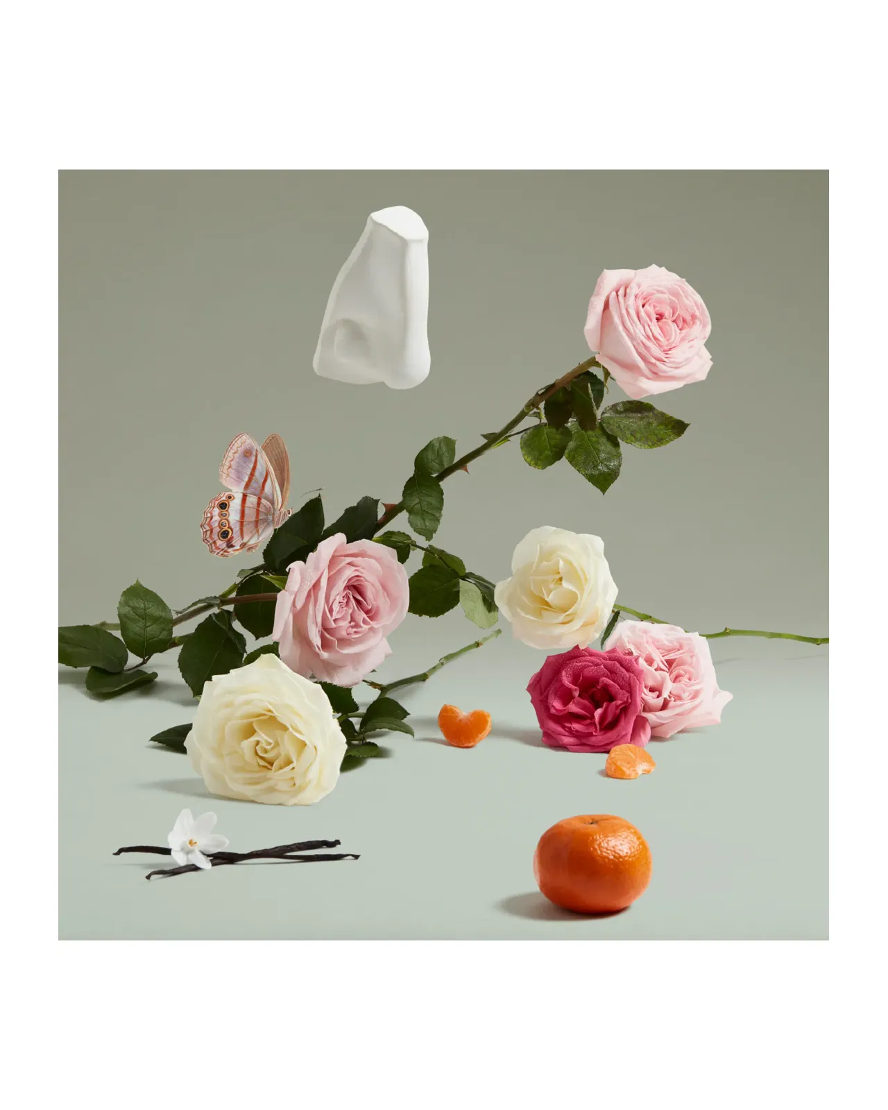 ザ コベテッド デュシェス ローズ オードパルファム 75ml ザ コベテッド デュシェス ローズ オードパルファム 75ml | Matsuya Ginza