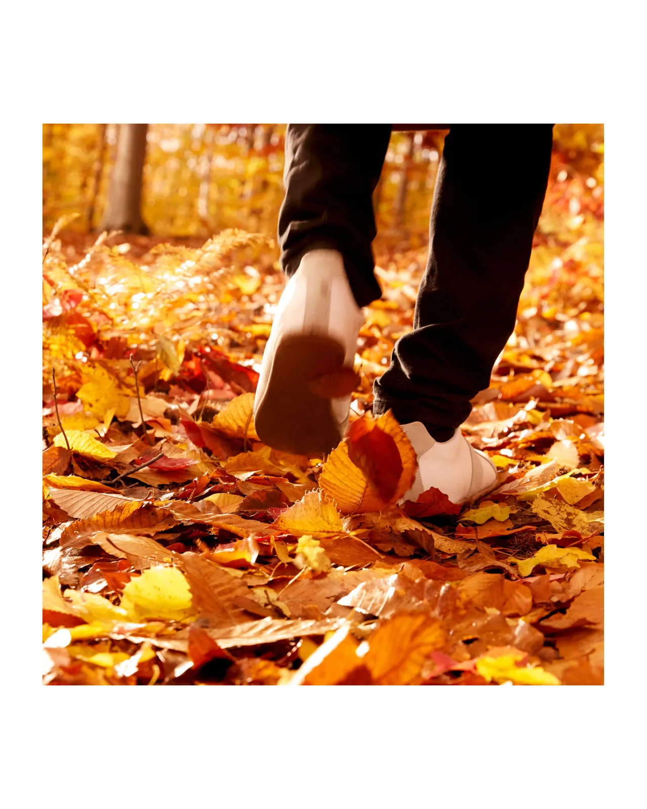 レプリカ オードトワレ オータム バイブス 100ml | Matsuya Ginza