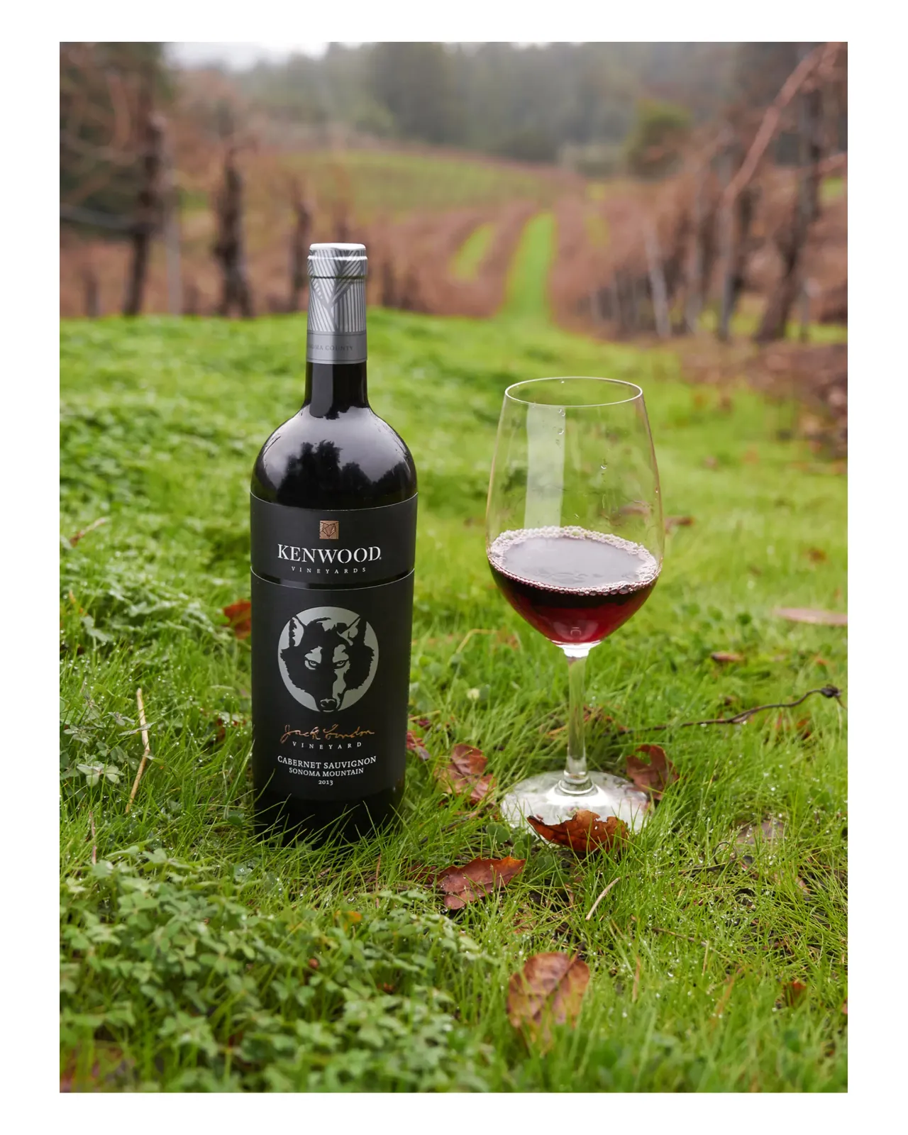 ジャック・ロンドン ソノマ・マウンテン カベルネ・ソーヴィニヨン