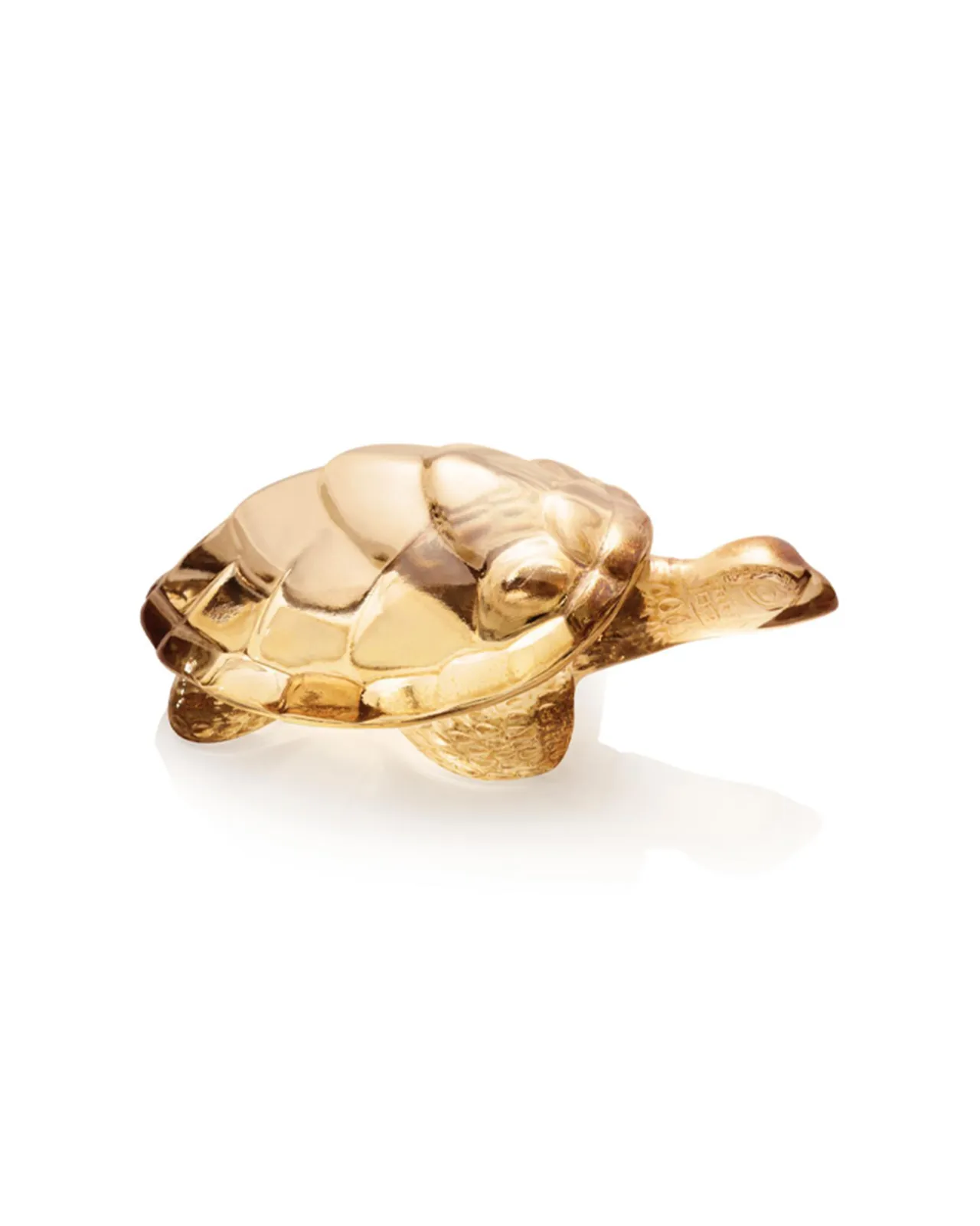 LALIQUE【ラリック】タートルシドニー　オブジェ タートルキャロリーヌ オブジェ | Matsuya Ginza