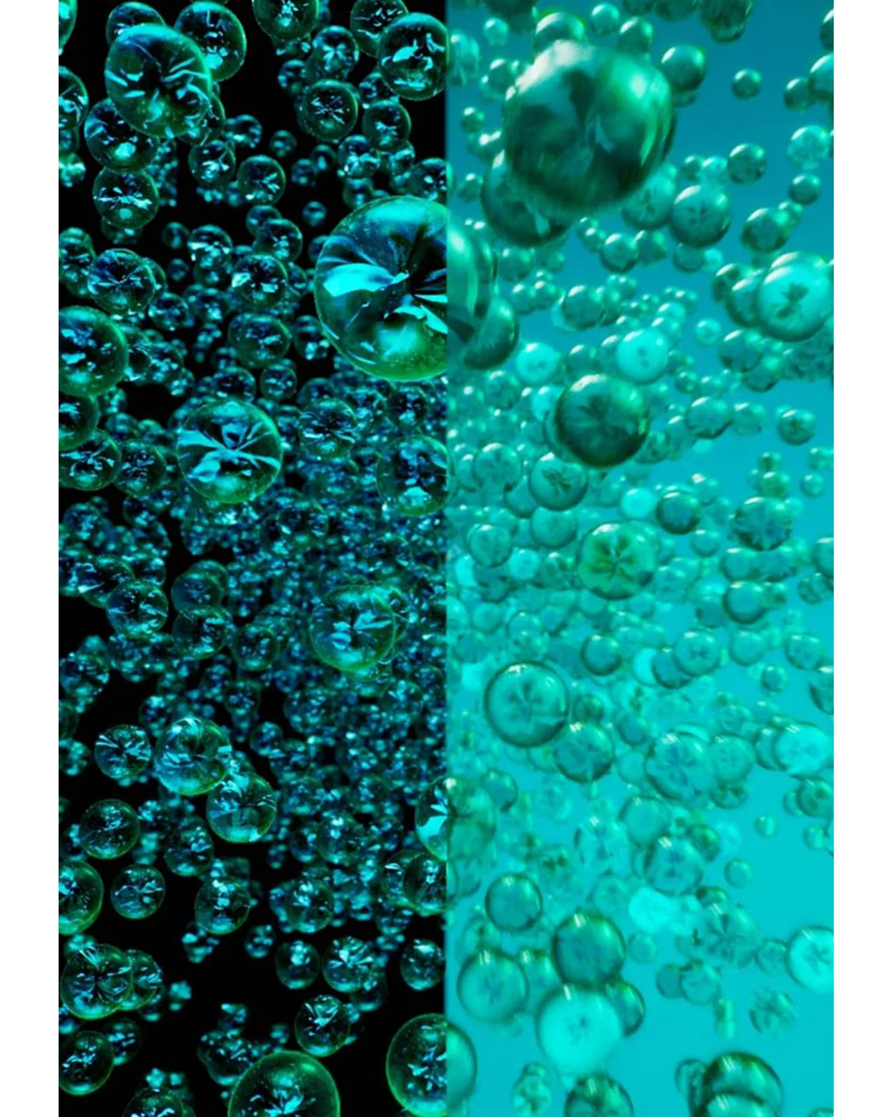 P.C.ナイト リハーブ 50ml | Matsuya Ginza