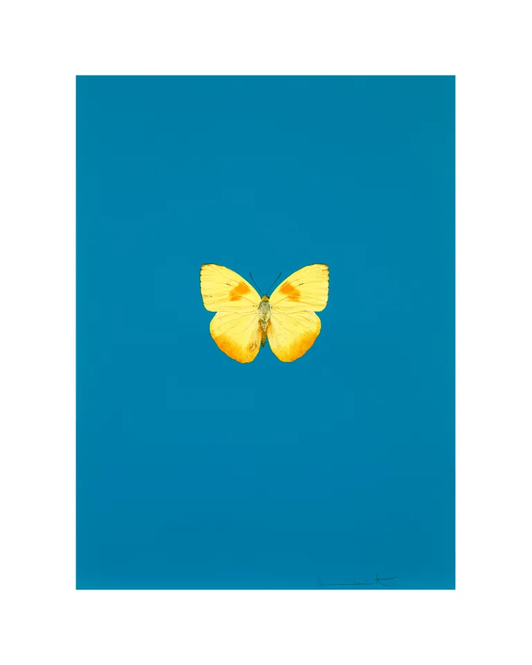 Damien Hirst アート 商品一覧 | Matsuya Ginza