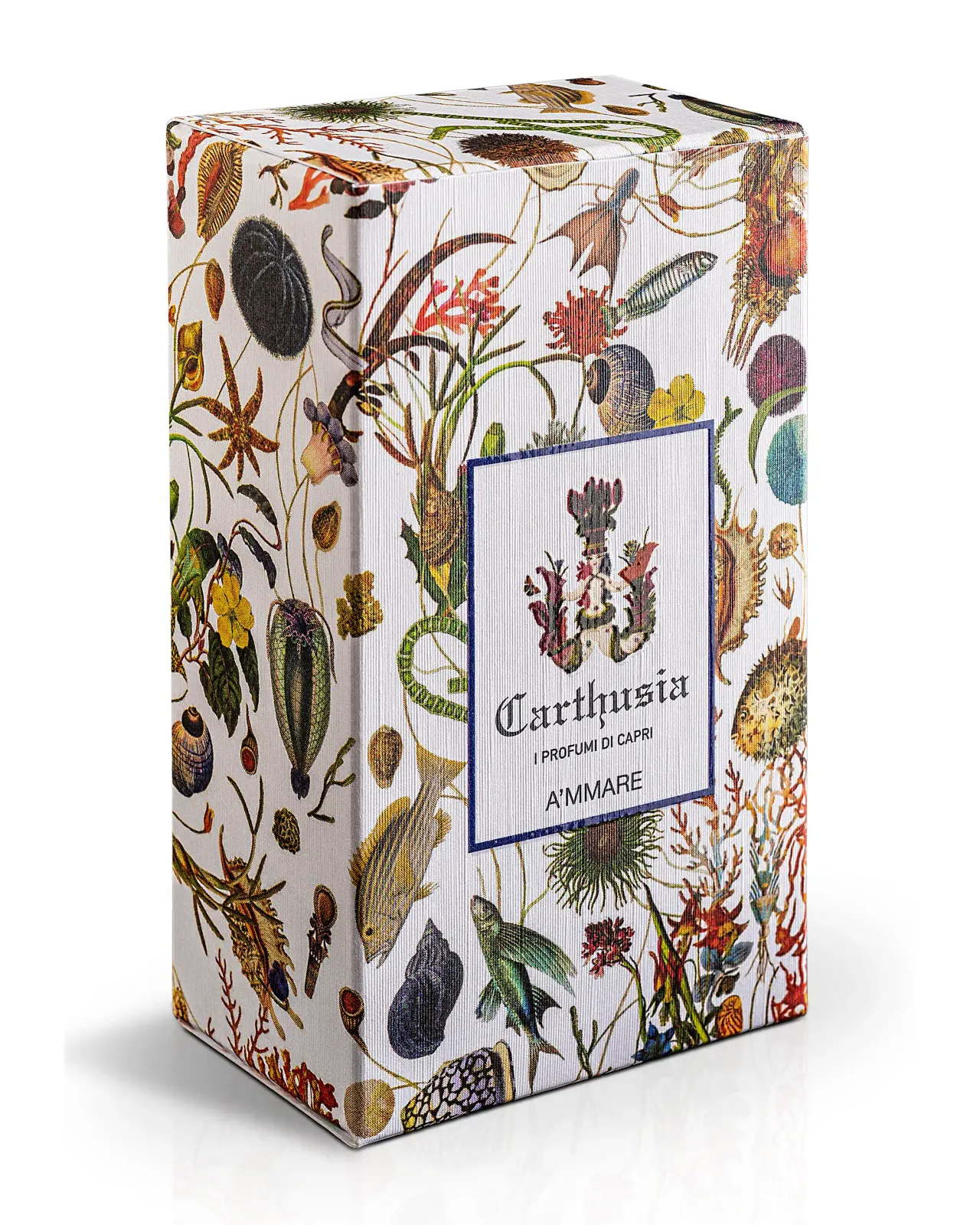 アマーレ オードパルファム 50ml | Matsuya Ginza