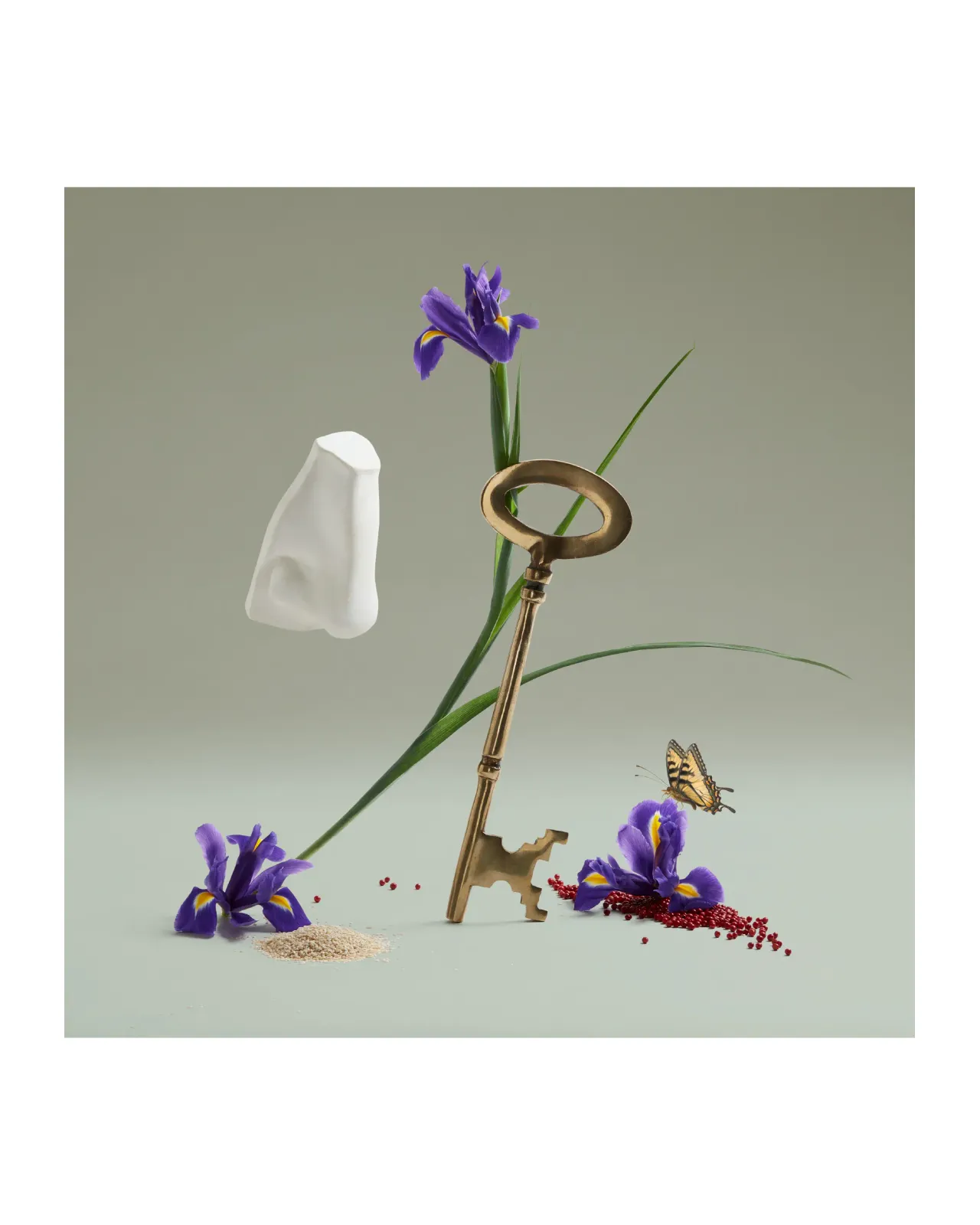 ジ オムニシエント ミスター トンプソン オードパルファム 75ml