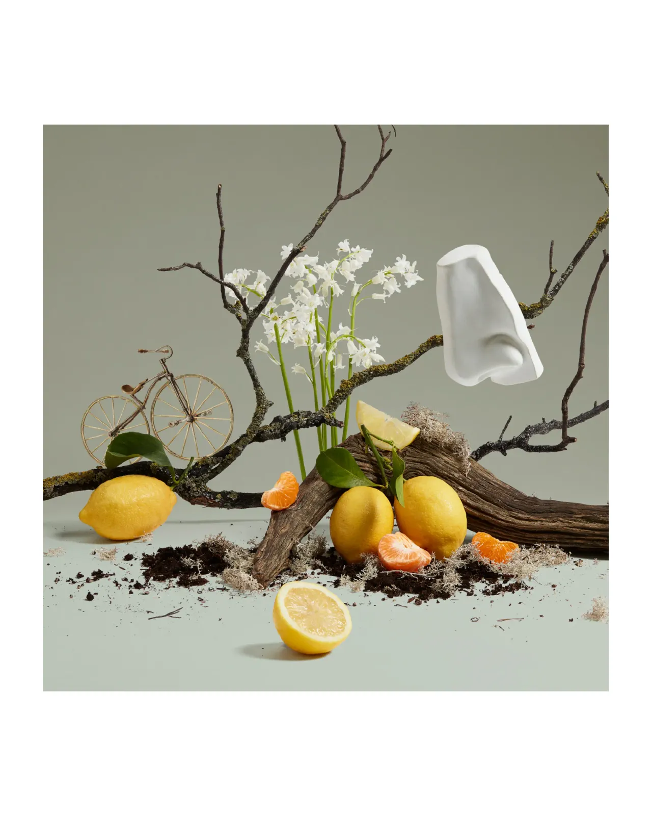 クァーカス コロン 100ml | Matsuya Ginza