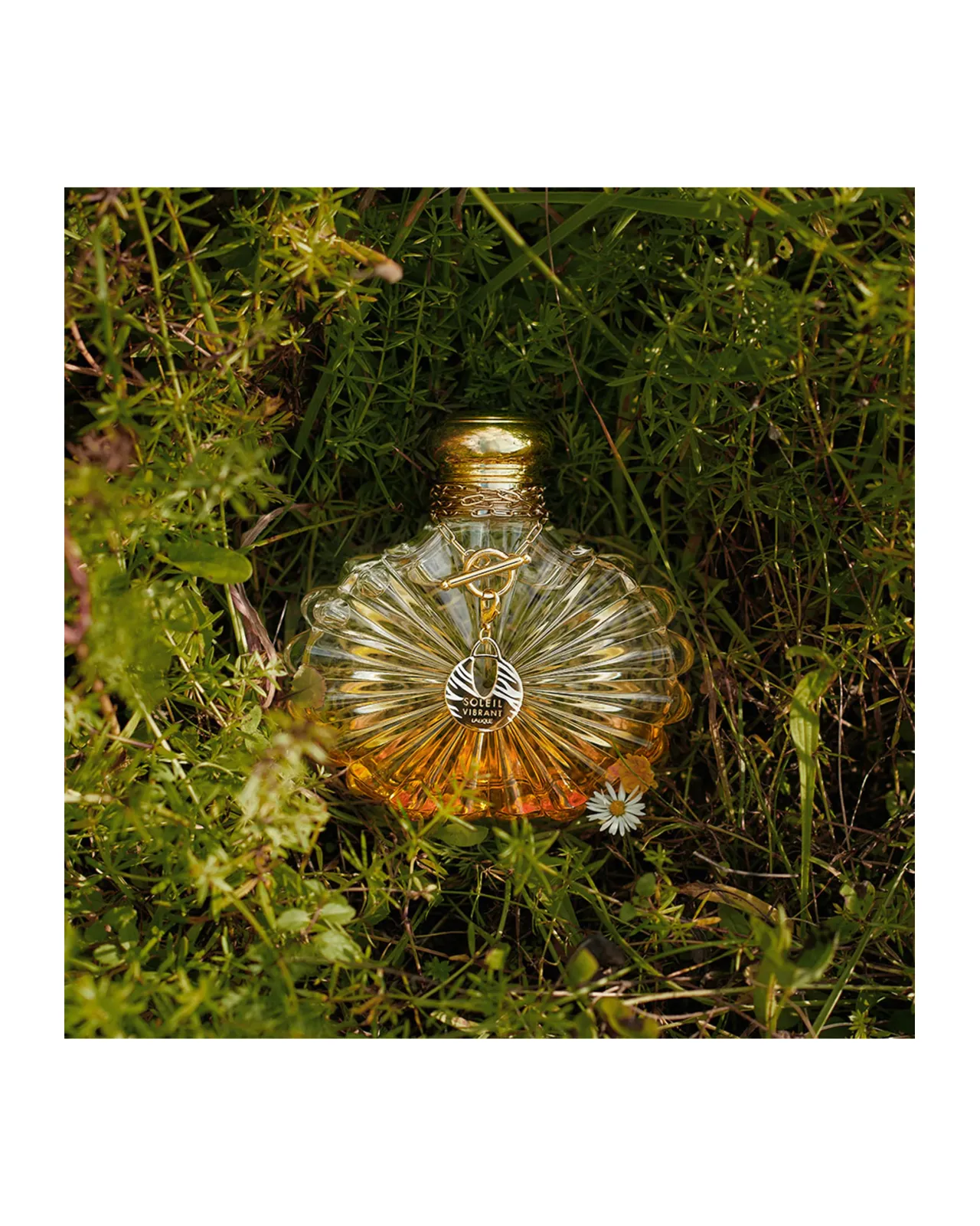 ソレイユ ヴィブラント オードパルファム 100ml | Matsuya Ginza