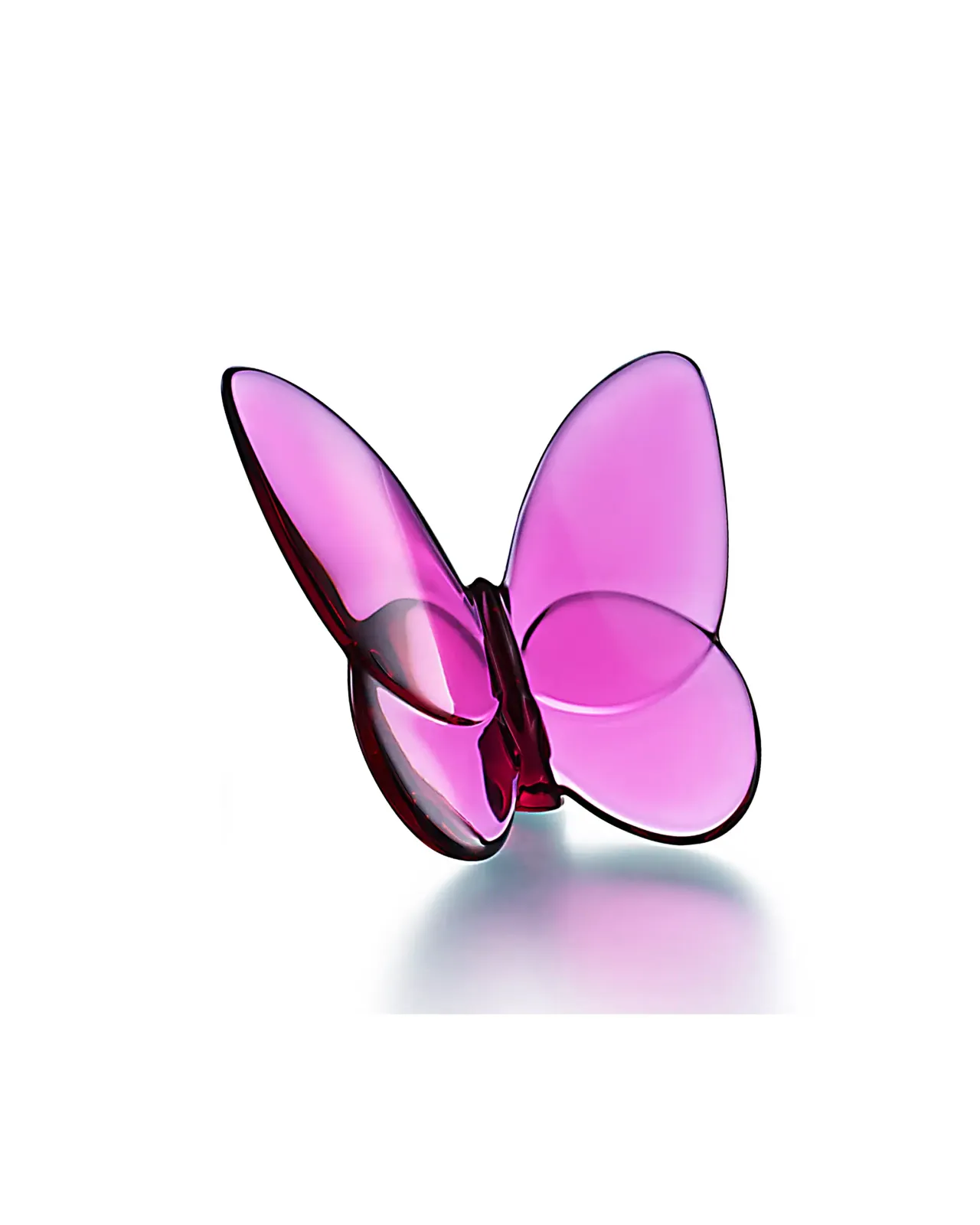 ラッキーバタフライ | Matsuya Ginza