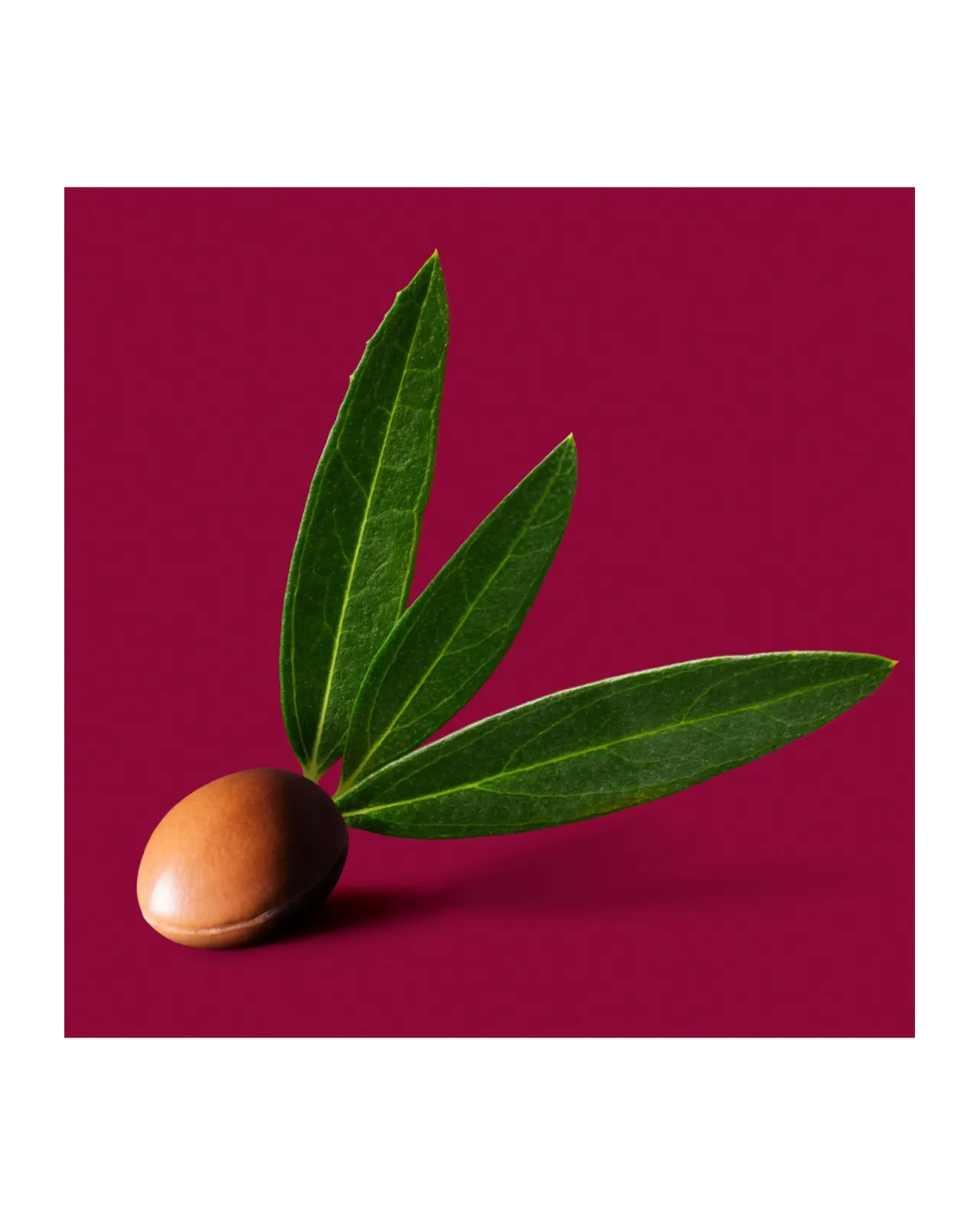 アルガン ビオアクティブ アイクリーム 15mL | Matsuya Ginza