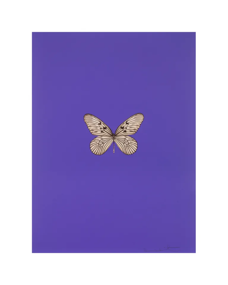 Damien Hirst アート 商品一覧 | Matsuya Ginza