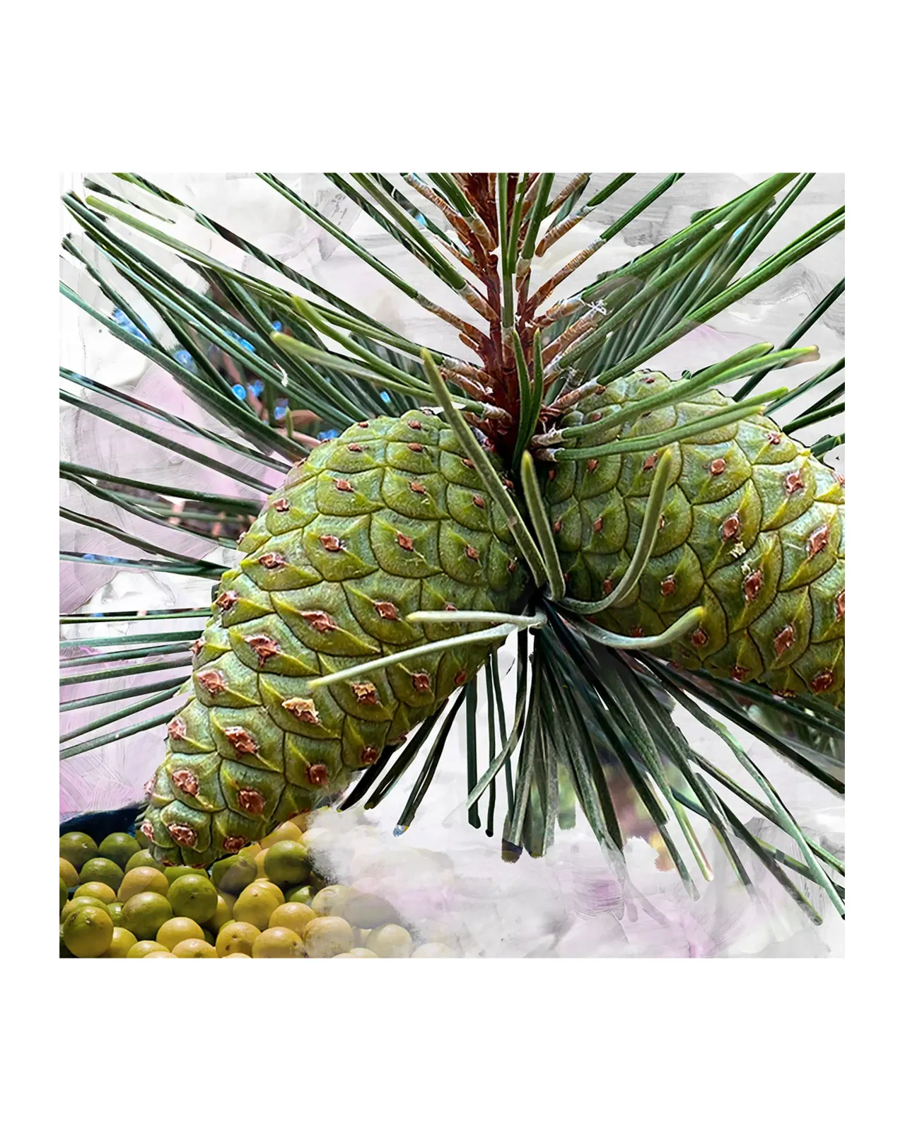 ジプシー ウォーター ヘアパフューム 75ml | Matsuya Ginza