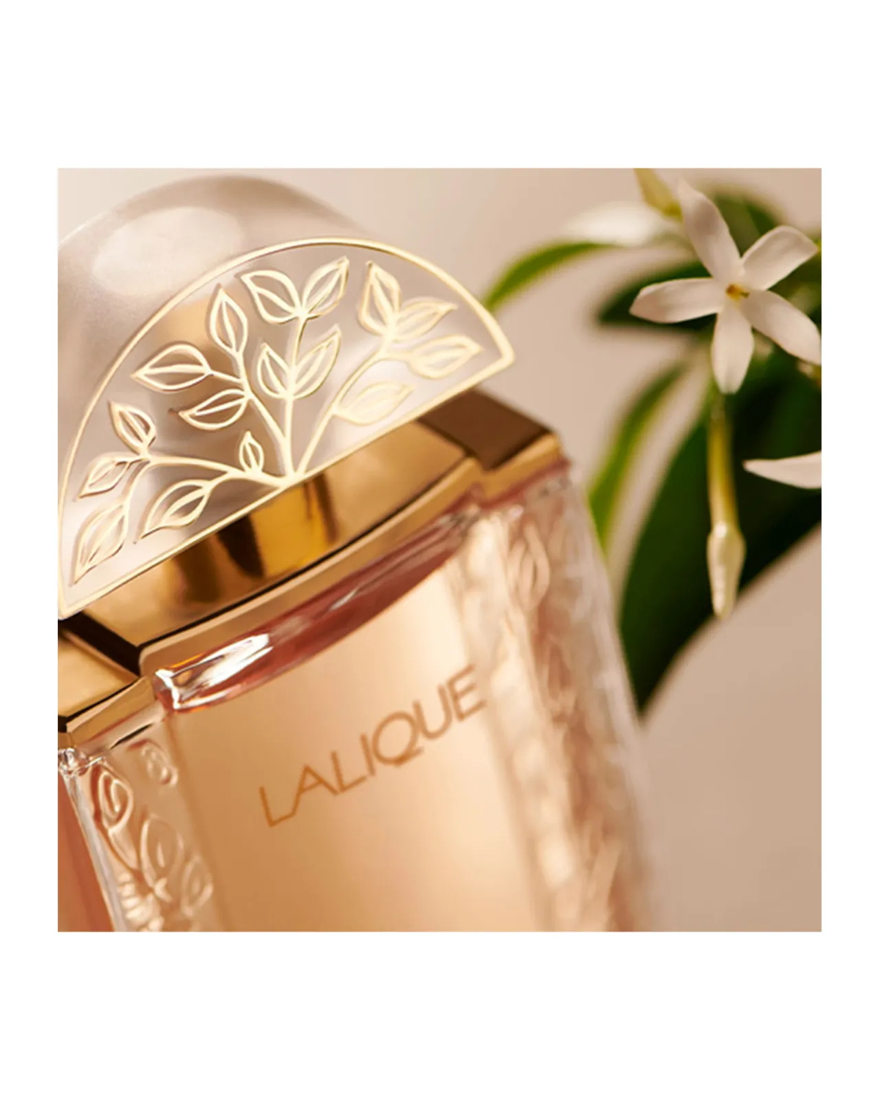 ラリック ドゥ オードパルファム 100ml | Matsuya Ginza