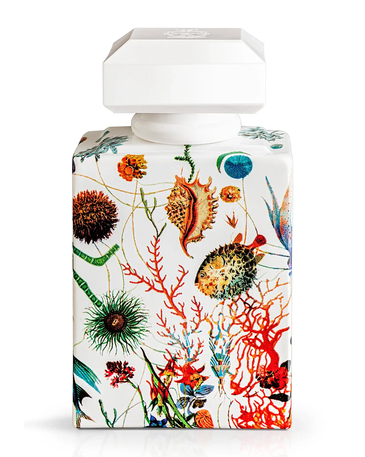 アマーレ オードパルファム 50ml | Matsuya Ginza