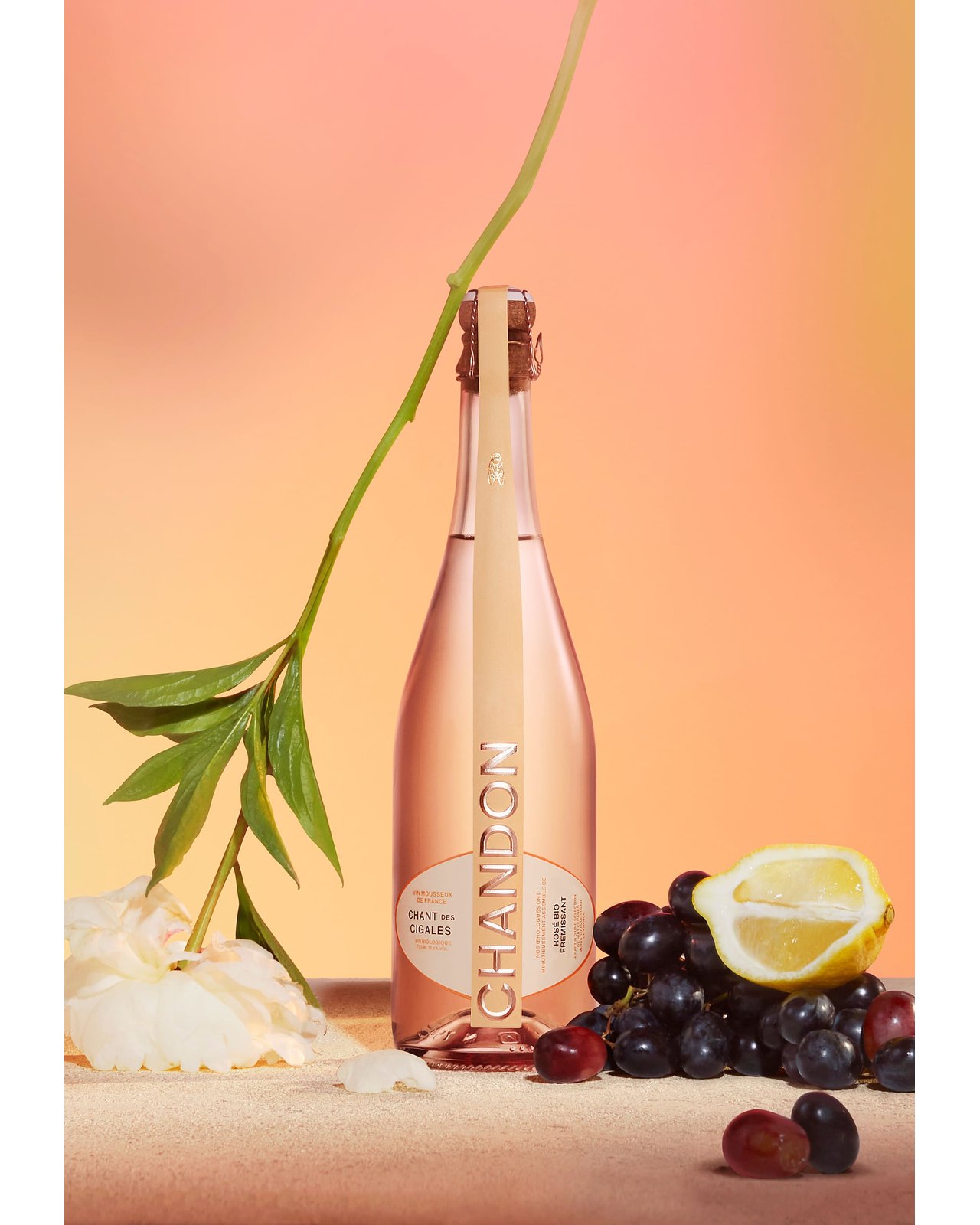 CHANDON CHANT DES CIGALES 750ml | Matsuya Ginza