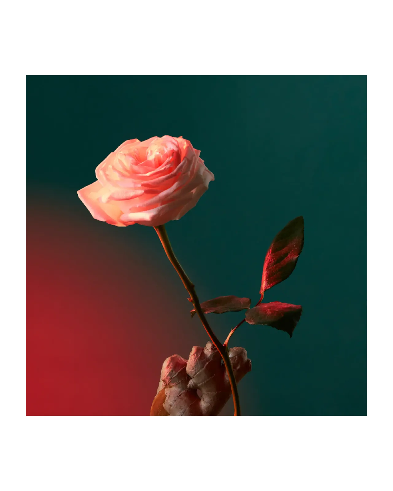 リキッド ラブ オードパルファム 100ml | Matsuya Ginza