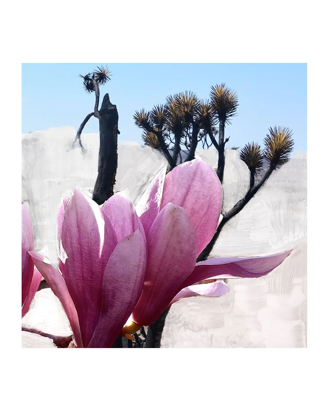 モハーヴェゴースト ボディクリーム 200ml | Matsuya Ginza