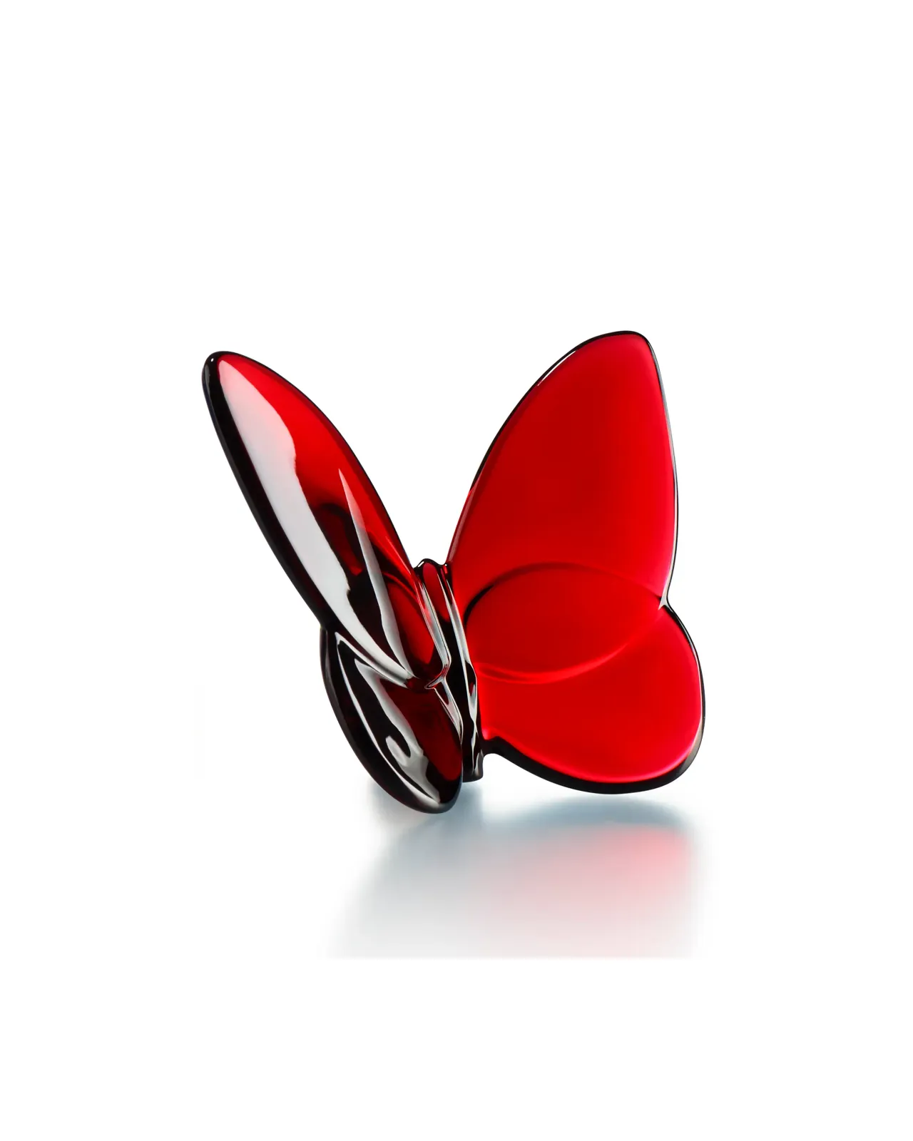 ラッキーバタフライ | Matsuya Ginza