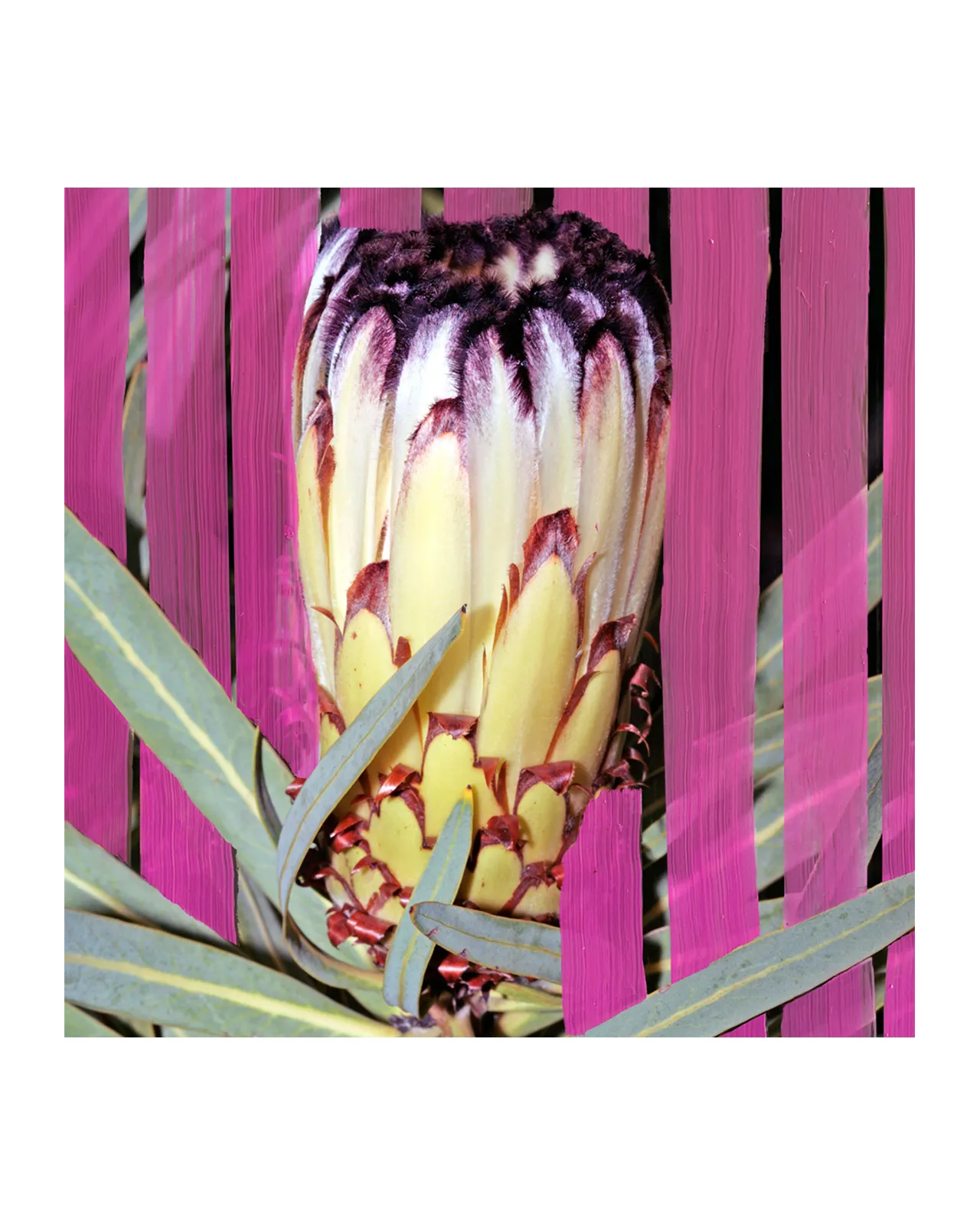 インフロレッセンス オードパルファン 100ml | Matsuya Ginza