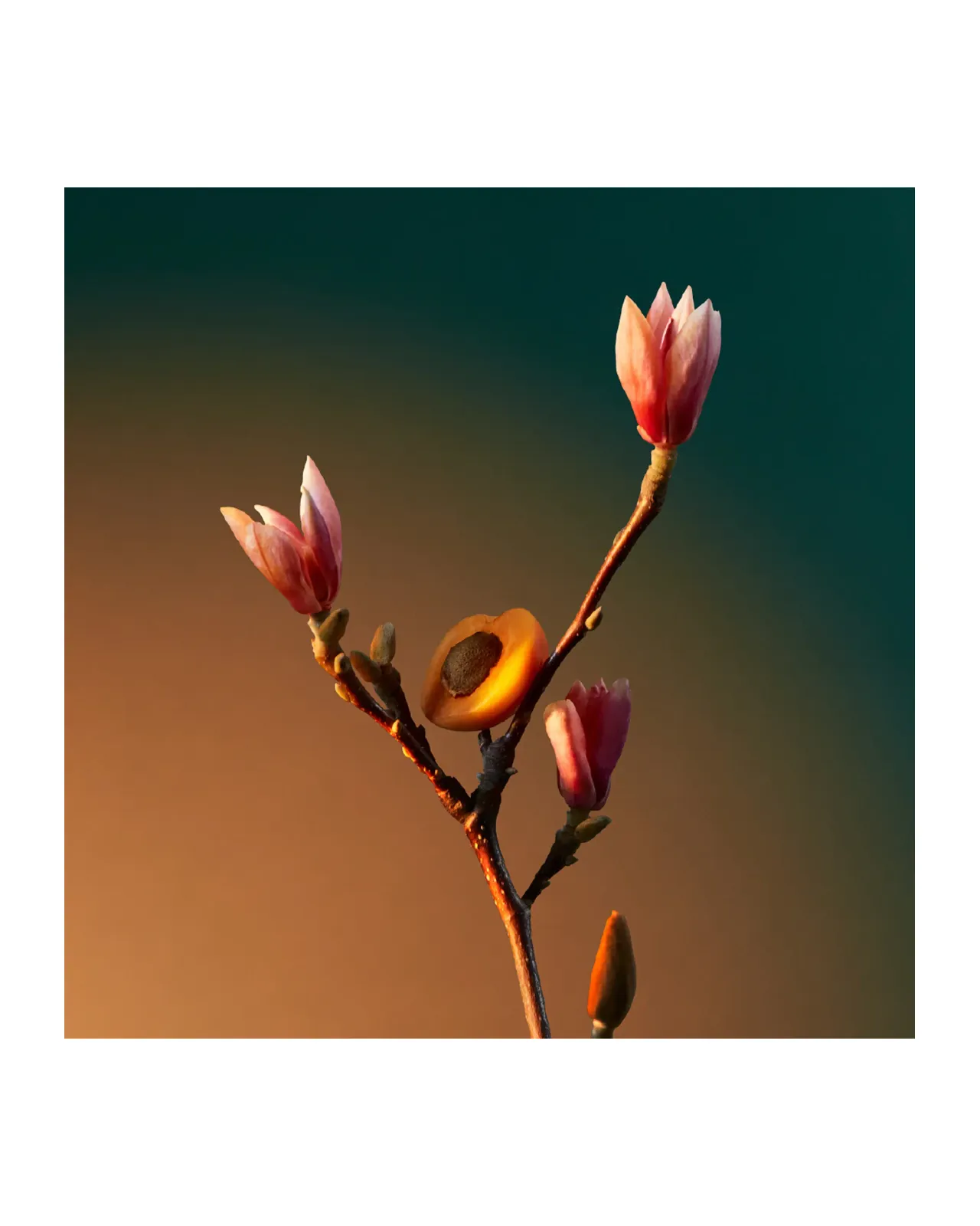 ヴラ ヴラ ヴルーム オードパルファム 100ml | Matsuya Ginza