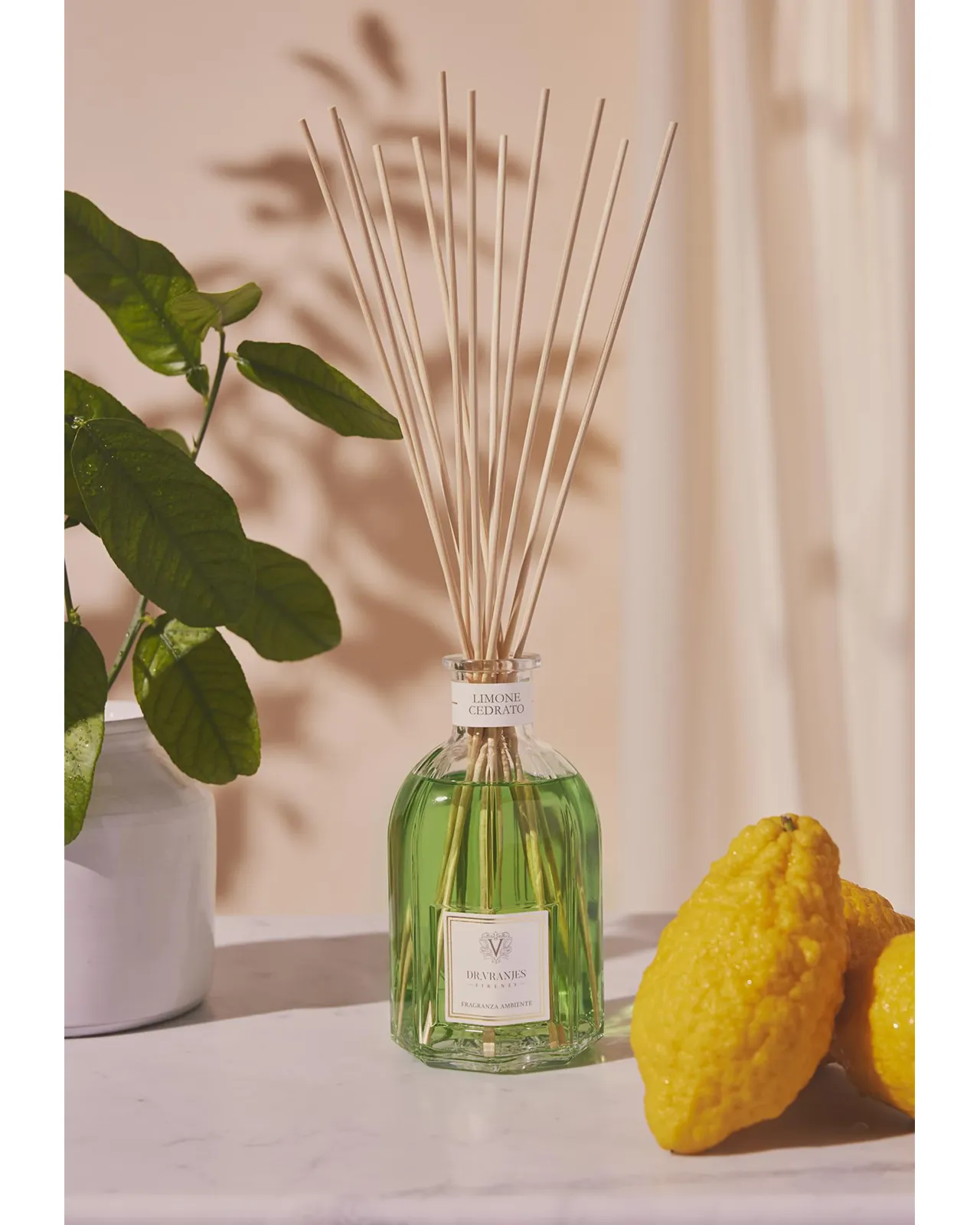 LIMONE CEDRATO〈リモーネ チェドラート〉DIFFUSER 250ml | Matsuya Ginza