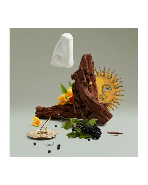 ソラリス オードパルファム 100ml | Matsuya Ginza