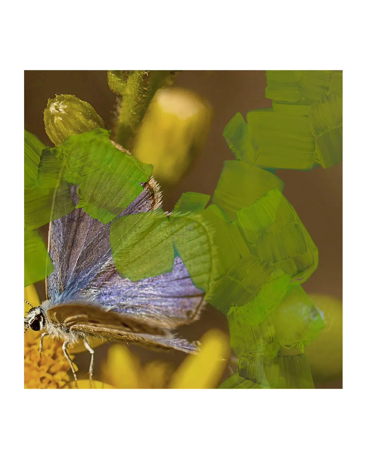 アニマリーク オードパルファン 50ml | Matsuya Ginza