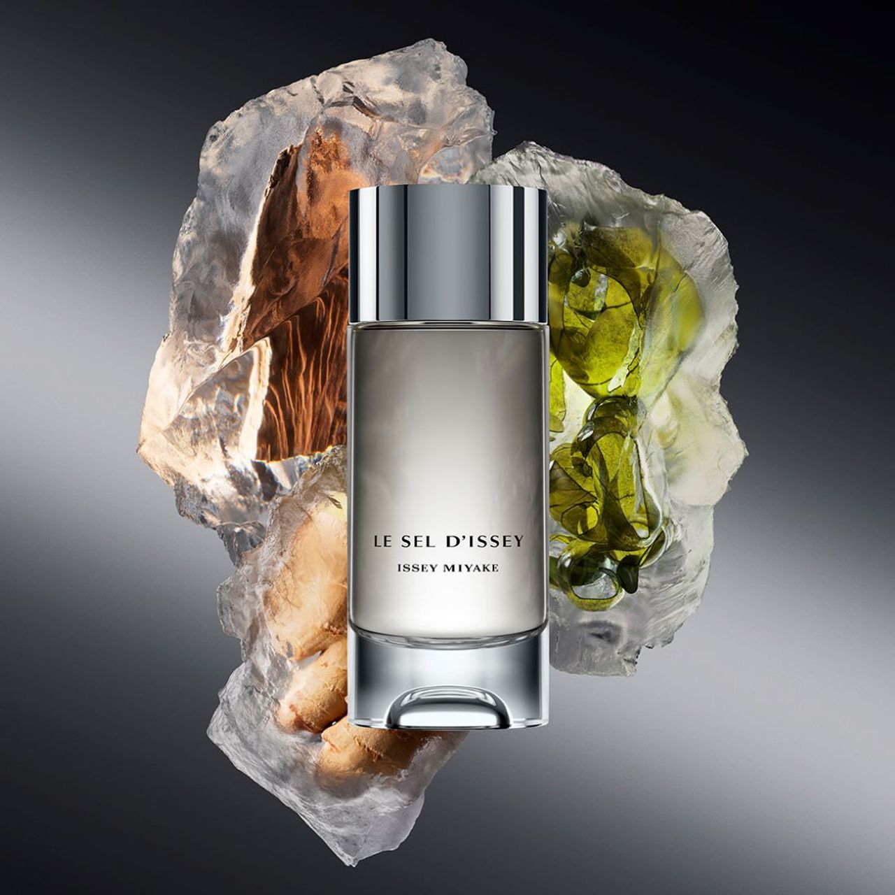 Issey Miyake の画像