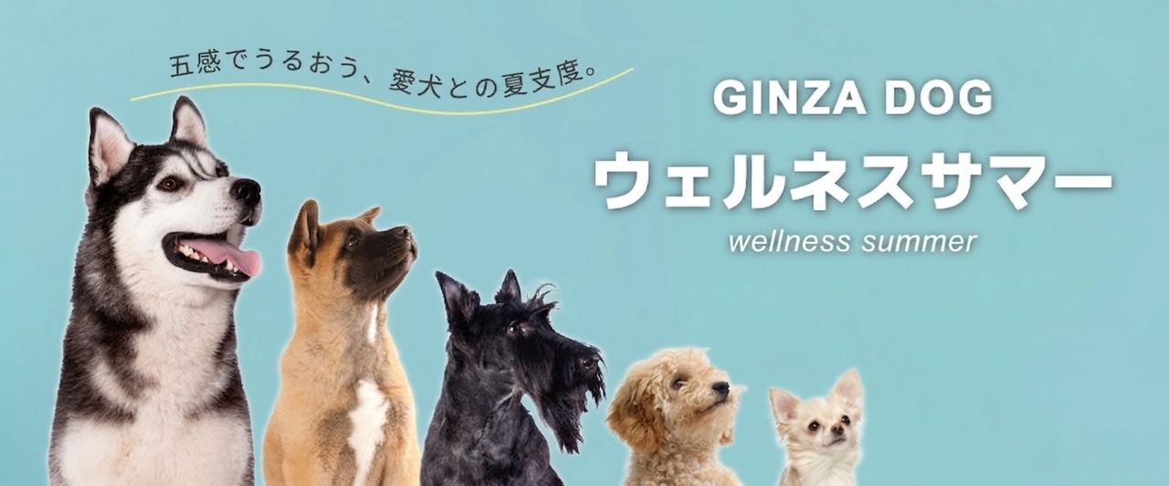 GINZA DOG ウェルネス サマー｜愛犬と楽しむ夏のウェルネスイベント｜松屋銀座