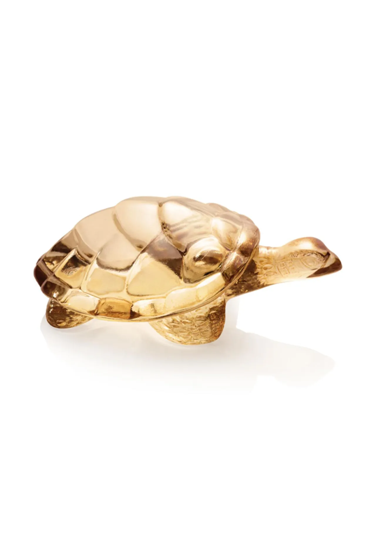 LALIQUE Tortue Caroline Objet