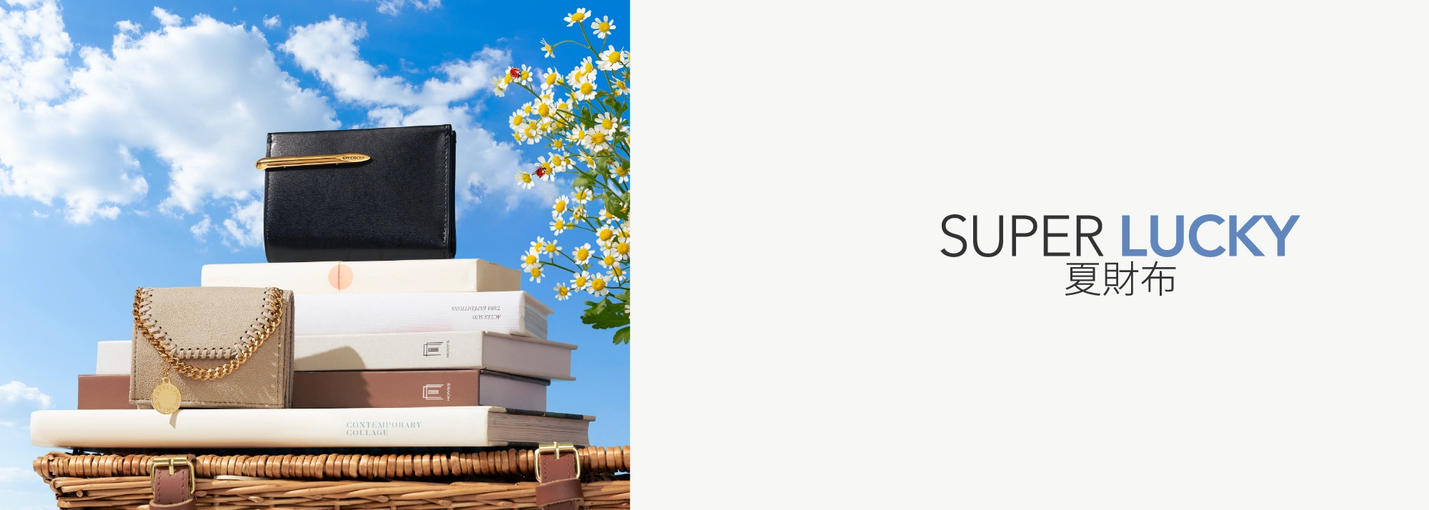 Super Lucky Day Wallets： Upgrade your luck and your wallet this