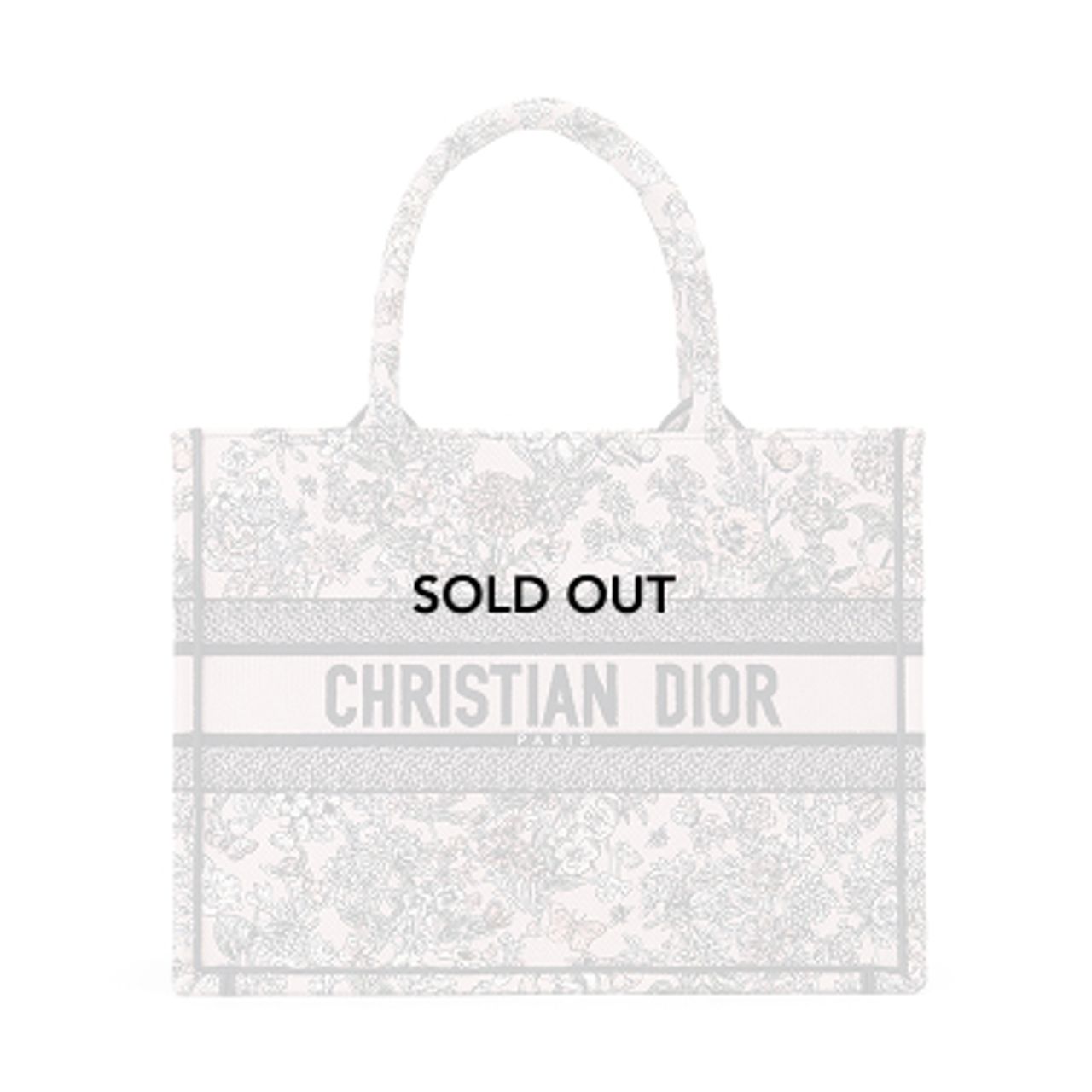 Limited DIOR Book Tote Release | Matsuya Ginza